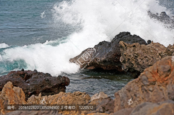 大島海岸線；熔巖巖夏威夷群島