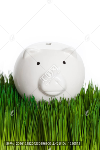 撲滿
