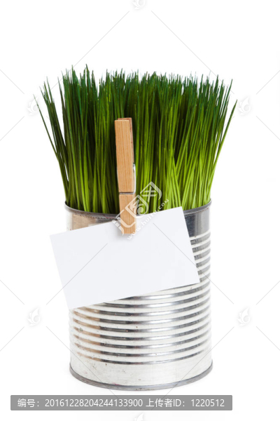 青草和名片