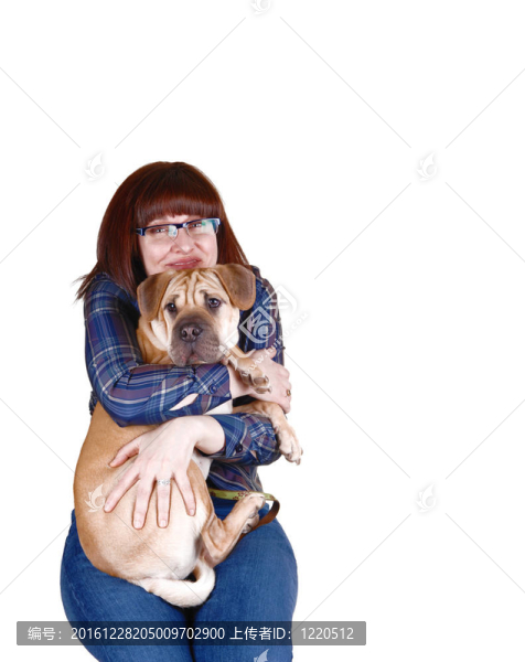 可愛的貴婦狗。