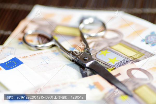 經濟對家庭的削減被危機所迫