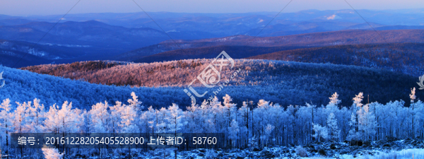 林海雪原霧凇
