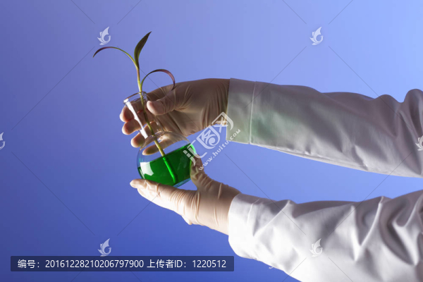 在綠色植物生物學實驗室
