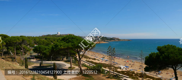樹(shù)木與海洋全景