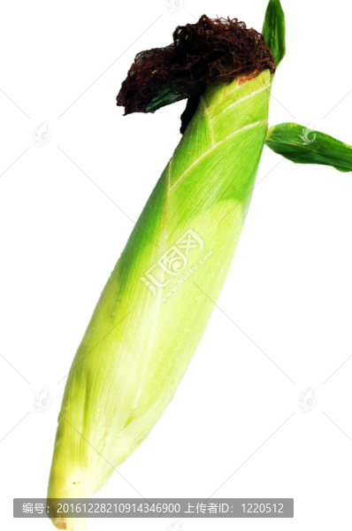綠色玉米棒