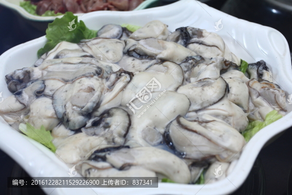 蠔仔肉