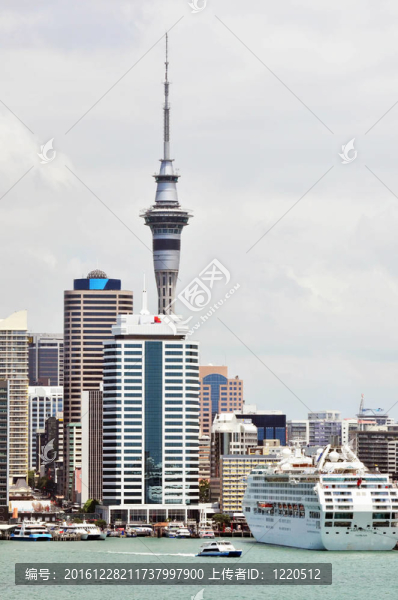 新西蘭旅游照片