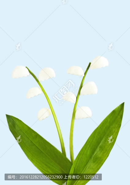 由野生大蒜和雞蛋制成的山谷百合