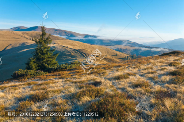 晨山山水