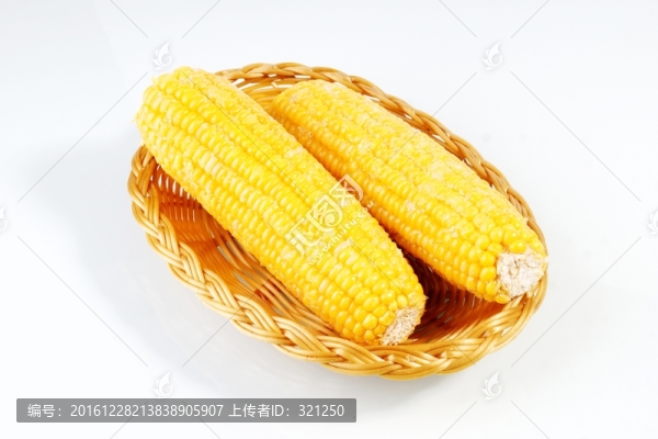 玉米棒子