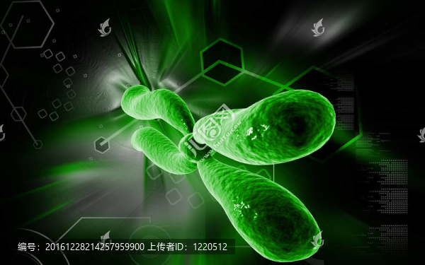 染色體