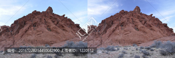 偏振濾光器