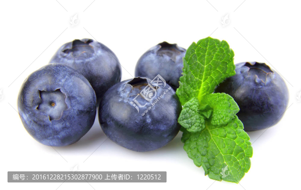 藍(lán)莓薄荷