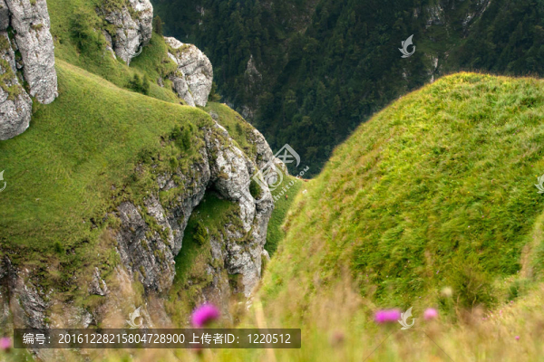 在薄霧山谷Bucegi山；羅馬尼亞；
