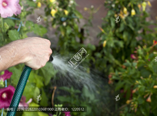 花園澆水