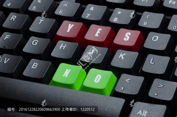 是不是概念