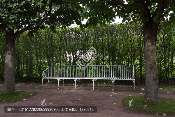 在公園長椅上