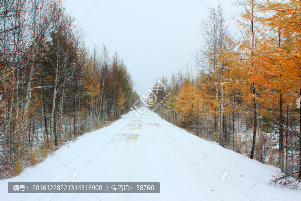 秋雪山路