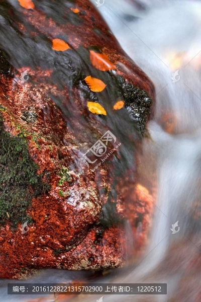美麗的秋水紅石之間