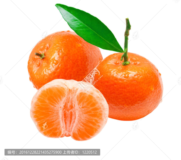 白色背景孤立國(guó)語(yǔ)