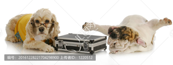 緊張的生意