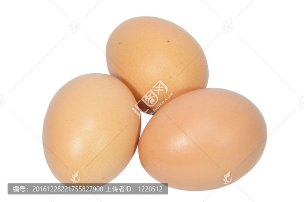 白底蛋