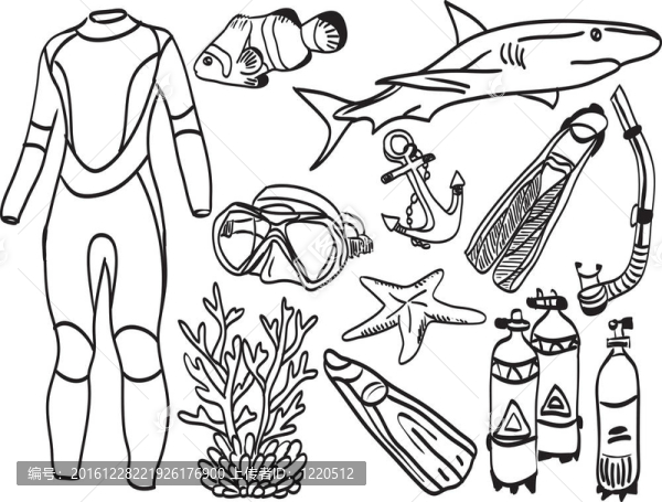 潛水設(shè)備與海洋生物