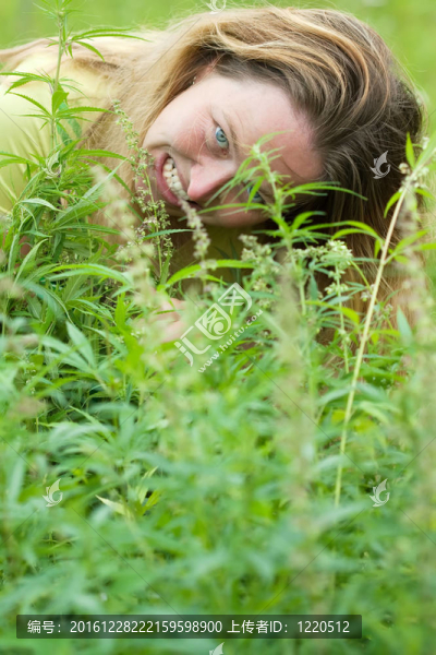 大麻廠的女人