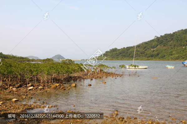 香港沿海濕地