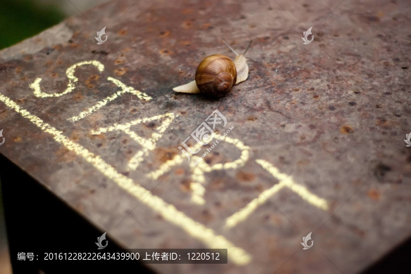 蝸牛