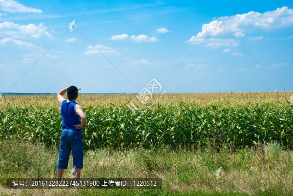 男人看著田野
