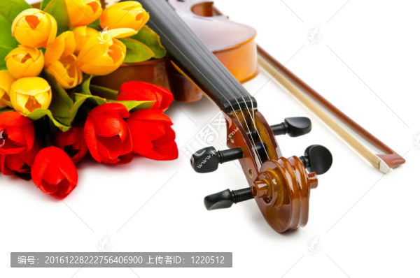 白色的小提琴和郁金香花