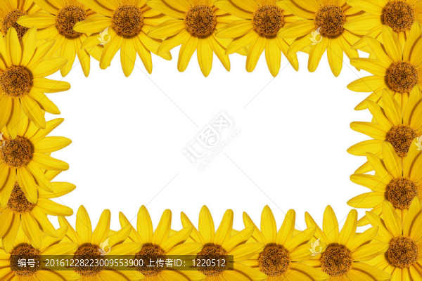 黃色的花框
