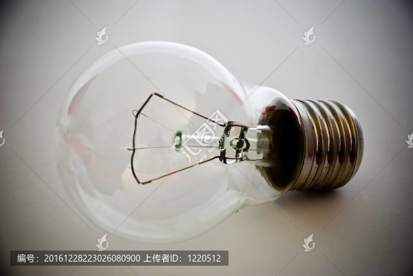電燈泡