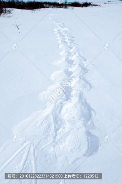雪鞋步道