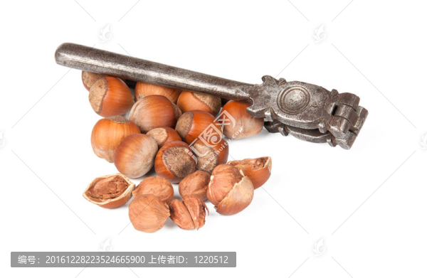 一個胡桃夾螺母