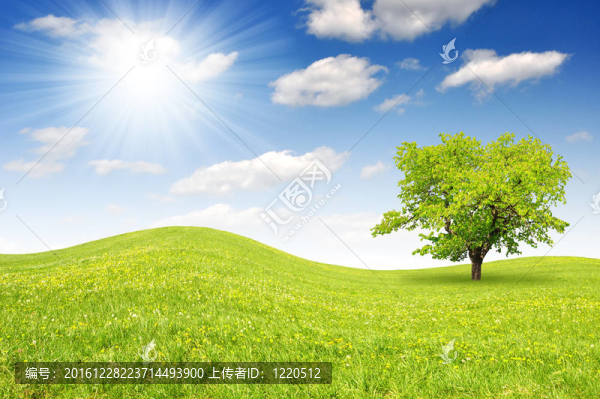 春天的風(fēng)景
