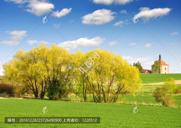 春天的風(fēng)景