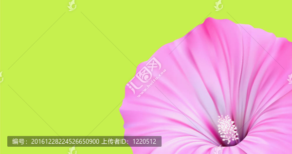 花旗自然設(shè)計(jì)