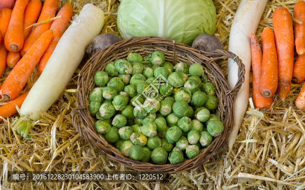 新鮮蔬菜