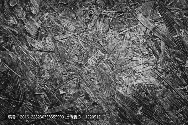膠合板結(jié)構(gòu)