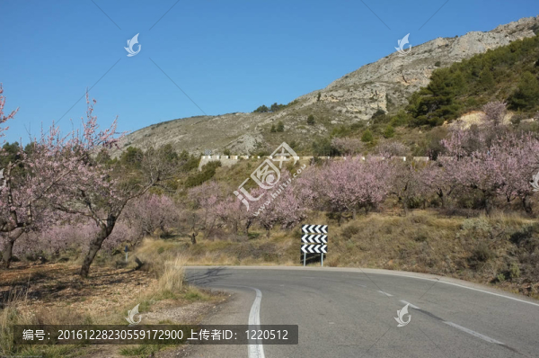 山路