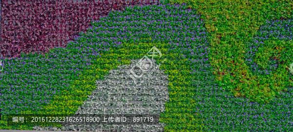 植物墻,植被墻