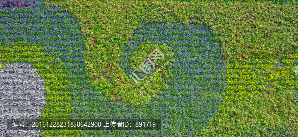植物墻,植被墻