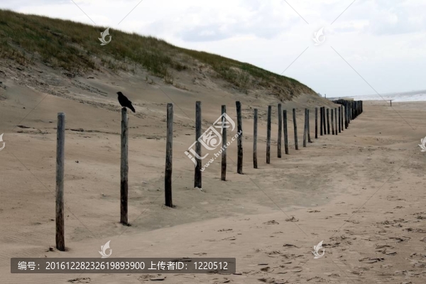 在海邊的籬笆上
