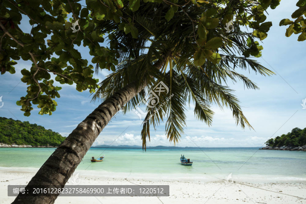 熱帶海灘