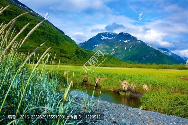陽光下的綠山