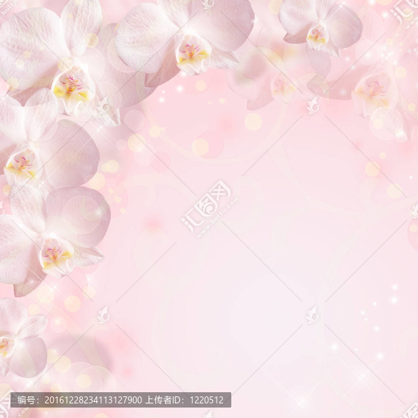 婚禮背景