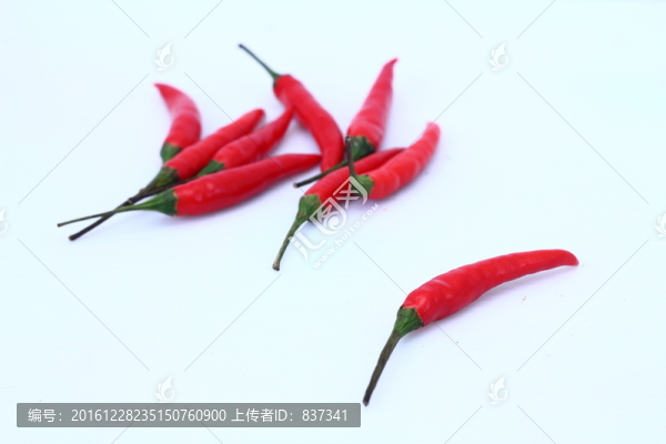 小尖椒