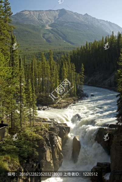 Sunwapta,Falls；落基山脈